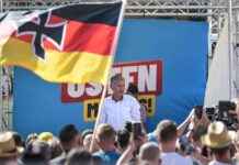 AfD-Panik in Deutschland: Höhepunkt erreicht news-31082024-011018