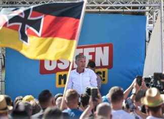 AfD-Panik in Deutschland: Höhepunkt erreicht news-31082024-011018