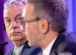 Kickls Traum: Ungarns Asylpolitik im Fokus news-31082024-131125