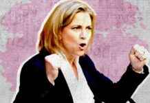 Können die Neos die Regierung beeinflussen? news-01092024-131446