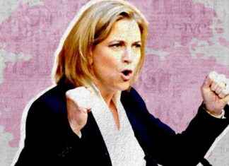 Können die Neos die Regierung beeinflussen? news-01092024-131446