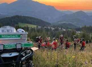 Unfall mit Mountaincart: Mann schwer verletzt news-10092024-020734