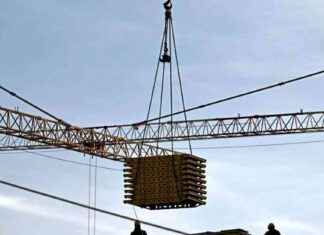 Die Hauptziele und Fokus des Artikels liegen auf den Gründen für die Krise der österreichischen Wirtschaft.Neuer Titel: Ursachen für die Krise der österreichischen Wirtschaft: Sechs Gründe erklärt news-10092024-044721