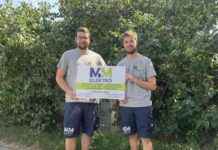 Elektroinstallationen in Großharras: M & M Elektro GmbH ist Ihr zuverlässiger Partner news-10092024-045111