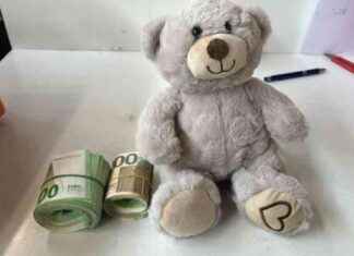 Testosteron im Kinderpuzzle & Nazi-Dolch: Zöllner entdecken Verstecke news-10092024-073521