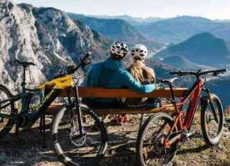 Mountainbike-Gesetzesänderung: Alpenverein gegen Naturfreunde – Forstwege öffnen? news-10092024-100856