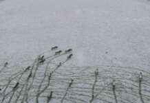 Wettersturz: Reisewarnung und Alarmbereitschaft in Deutschland news-12092024-214743