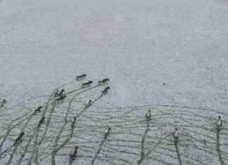 Wettersturz: Reisewarnung und Alarmbereitschaft – Folgen und Auswirkungen news-13092024-014241
