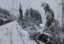 Wettervorhersage: Schneefall und Hochwassergefahr in Deutschland news-13092024-135407