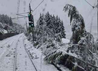 Wettervorhersage: Schneefall und Hochwassergefahr in Deutschland news-13092024-135407