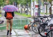 Regenmenge in Wien: Bedrohliche Lage und Folgen news-13092024-175626