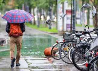 Regenmenge in Wien: Bedrohliche Lage und Folgen news-13092024-175626