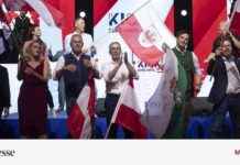 Die Bedeutung des möglichen Scheiterns der FPÖ in Österreich news-14092024-015919