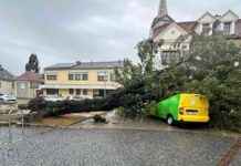 Vorsicht geboten! Aktuelle Prognosen und Entwicklungen news-14092024-015952