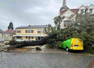 Vorsicht geboten! Aktuelle Prognosen und Entwicklungen news-14092024-015952
