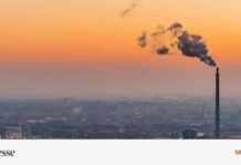 Wirtschaftswachstum in Deutschland: Welche Politik bringt den Aufschwung? news-14092024-100140