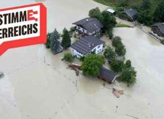 Ursachen und Folgen von Hochwasser in Deutschland: Eine Analyse news-14092024-100206