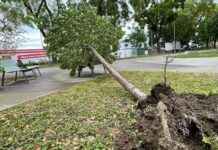 Sturmböen in der Steiermark: 4000 Haushalte ohne Strom news-14092024-140347