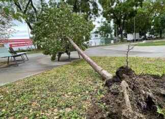 Sturmböen in der Steiermark: 4000 Haushalte ohne Strom news-14092024-140347