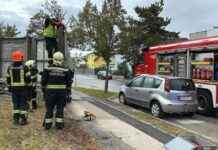 Hochwasser bedroht tausende Haushalte, Pegel steigen unaufhörlich news-14092024-140501