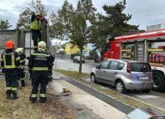 Hochwasser bedroht tausende Haushalte, Pegel steigen unaufhörlich news-14092024-140501