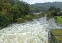 Unwetter in Niederösterreich: 20 Gemeinden von starken Stürmen betroffen news-14092024-194737