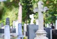 Wiener Friedhöfe geschlossen am Sonntag news-14092024-194811