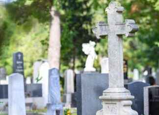 Wiener Friedhöfe geschlossen am Sonntag news-14092024-194811