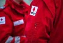 Tragischer Unfall: E-Bike-Fahrer in Hausmannstätten stirbt nach Zusammenstoß mit Marder news-15092024-034949