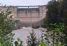 Hochwasser: Hoffen auf stabile Dämme und steigende Pegel news-15092024-035054