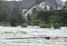 Hochwasser in Niederösterreich: Feuerwehrmann stirbt, Überflutungen in Wien – Evakuierung in Penzing news-15092024-115406
