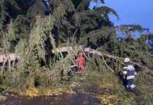 Sturm in der Steiermark: 120 km/h Windböen und 20.000 Haushalte ohne Strom news-15092024-115436