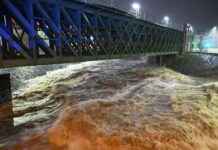 Feuerwehrmann stirbt bei Einsatz in Tulln news-15092024-115538