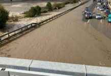 Verkehrsinfo: Sperrung der Südautobahn in Niederösterreich news-15092024-200338