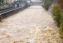 Bedeutung und Auswirkungen des Hochwassers in Wien news-16092024-000355