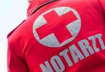 Notarzt im Einsatz: Zwei Schwerverletzte nach Verkehrsunfall in Hausmannstätten – Bericht und Maßnahmen news-16092024-080706