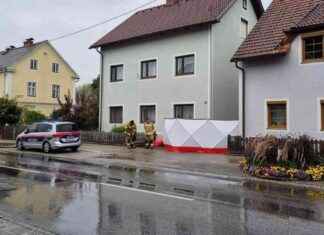 14-jähriger Jugendlicher festgenommen: Mordalarm in der Steiermark news-16092024-203028