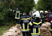 Niederösterreich: Aktuelle Lage und Entwicklungen im Überblick news-16092024-203056