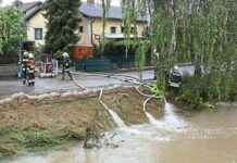 Die unterschätzte Macht des Wassers: Karl’s Fehler im Haus news-17092024-003224