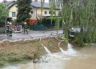 Die unterschätzte Macht des Wassers: Karl’s Fehler im Haus news-17092024-003224