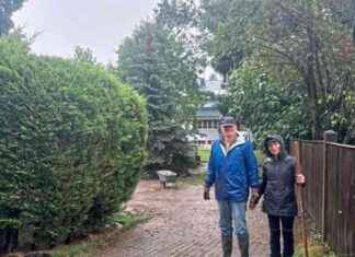 Schutzmaßnahmen gegen Hochwasserschäden in Klosterneuburg news-17092024-043702