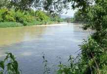 Renaturierung zur Hochwasserprävention: Bedeutung und Vorteile news-17092024-124228