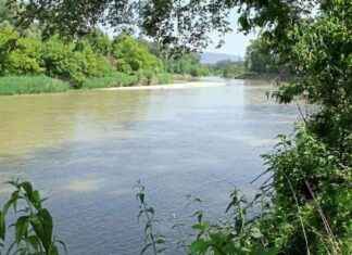 Renaturierung zur Hochwasserprävention: Bedeutung und Vorteile news-17092024-124228