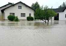 Hochwasser in Deutschland: Opfer berichten über Verluste news-17092024-173804