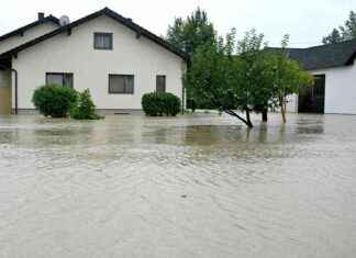 Hochwasser in Deutschland: Opfer berichten über Verluste news-17092024-173804
