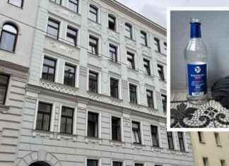 WG-Krimi in Wien: Geständnisse und ein Toter news-17092024-214405