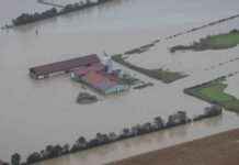 Landwirtschaftliche Herausforderungen durch Überschwemmungen: Existenzbedrohung für Bauern news-18092024-014325