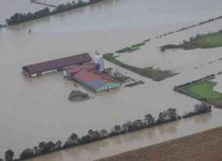 Landwirtschaftliche Herausforderungen durch Überschwemmungen: Existenzbedrohung für Bauern news-18092024-014325
