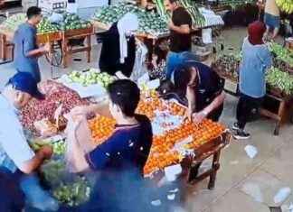 Russland warnt vor größerem Krieg in Hisbollah-Konflikt news-18092024-135120