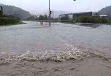 Der Grad der Versiegelung in Niederösterreich: Fakten und Zahlen news-18092024-215508